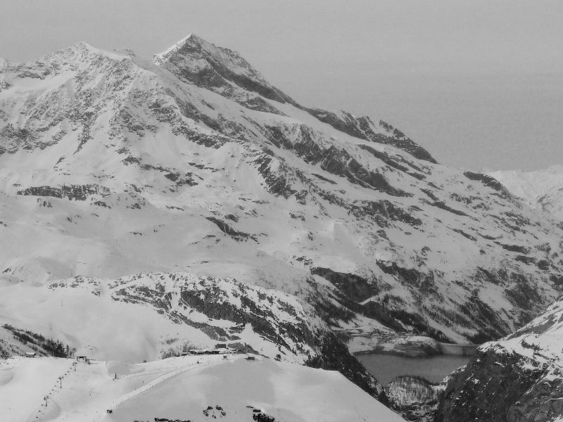 Concours photo printemps 2009 - Page 7 Cp20098